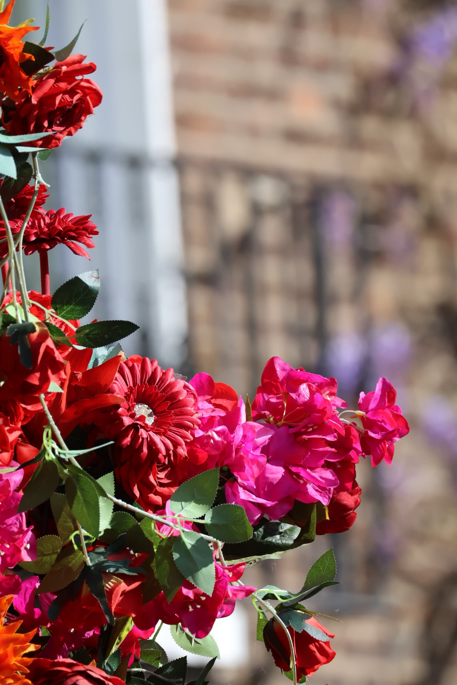Flower 276