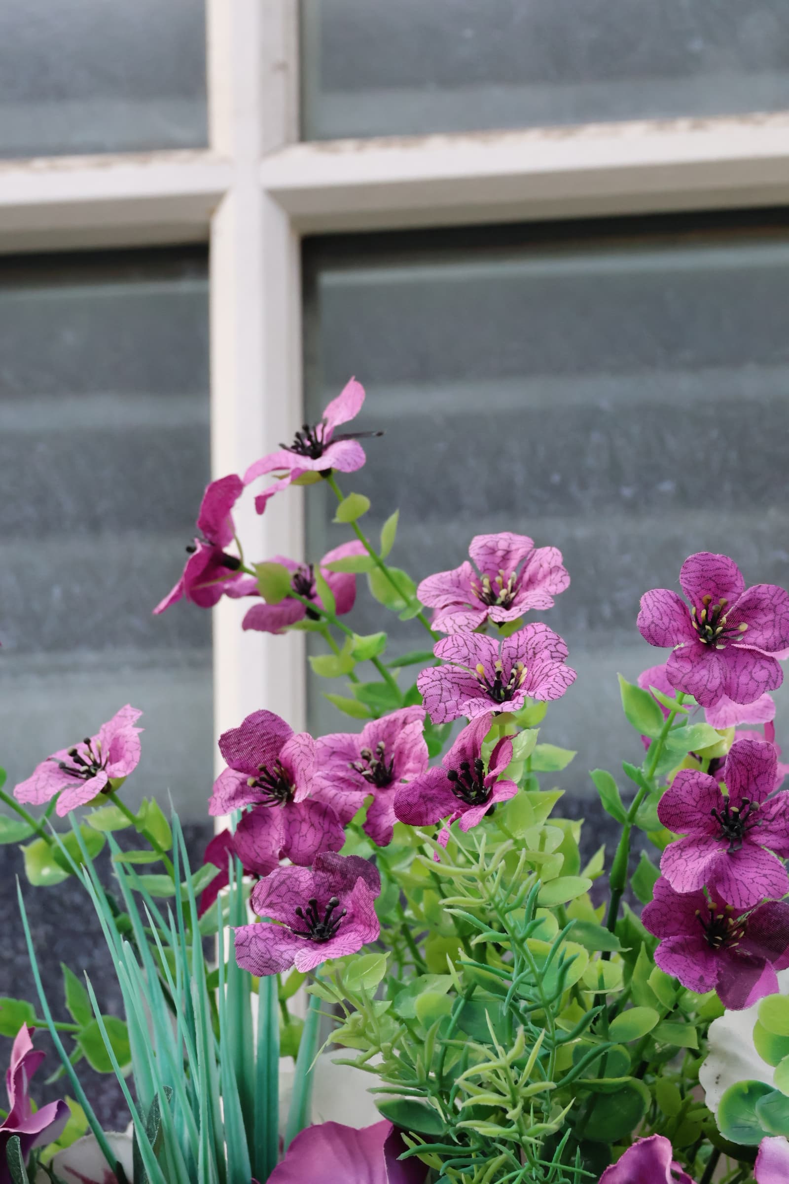 Flower 47