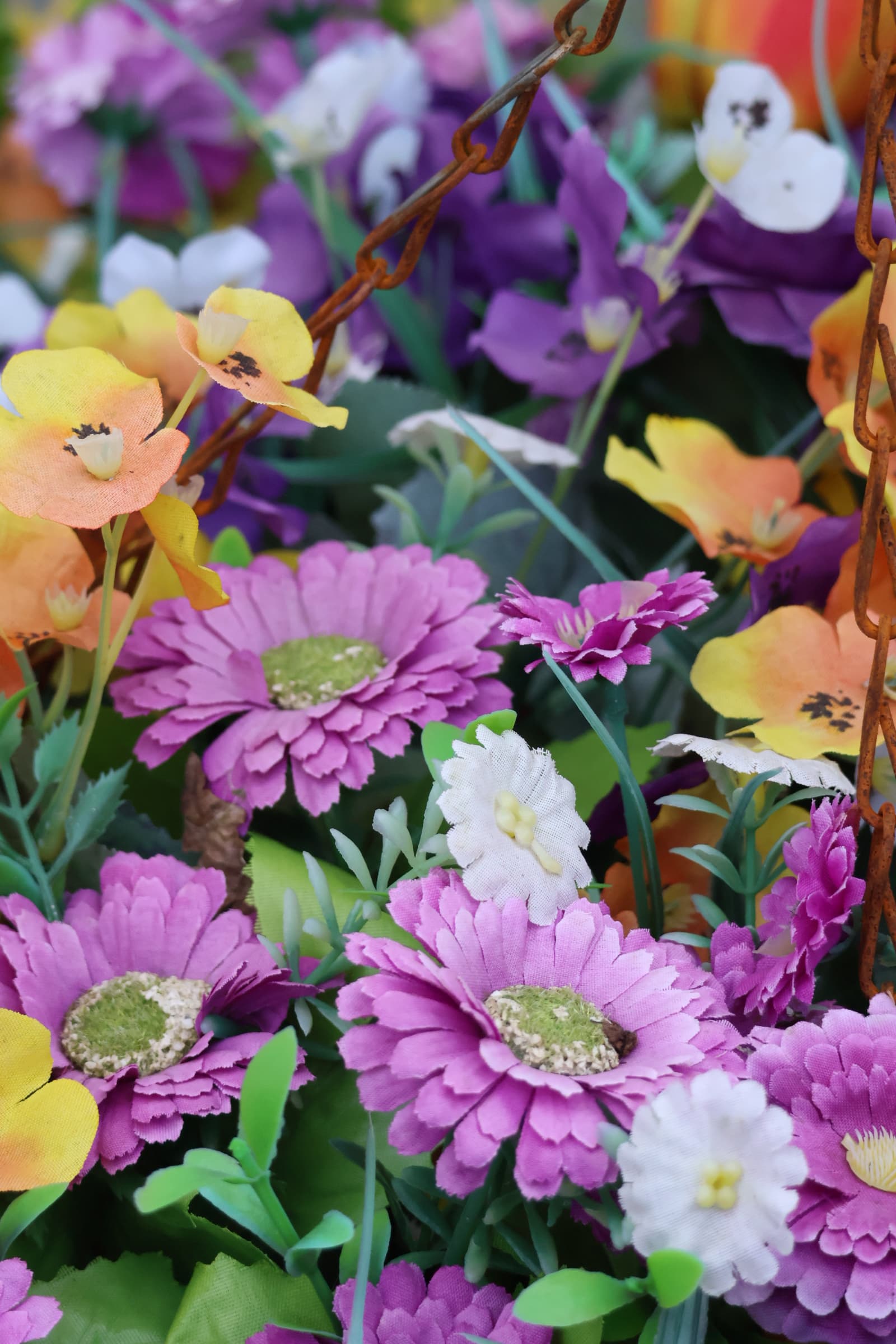 Flower 559