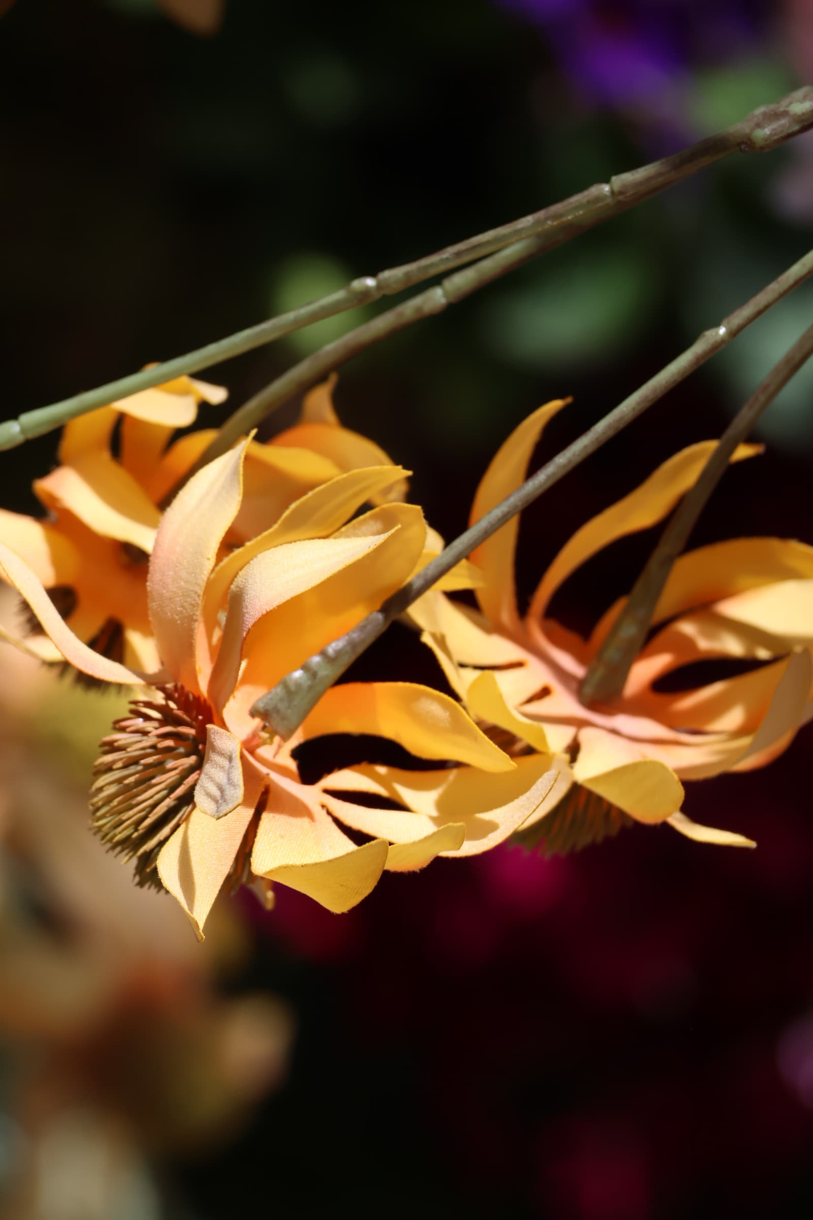 Flower 336