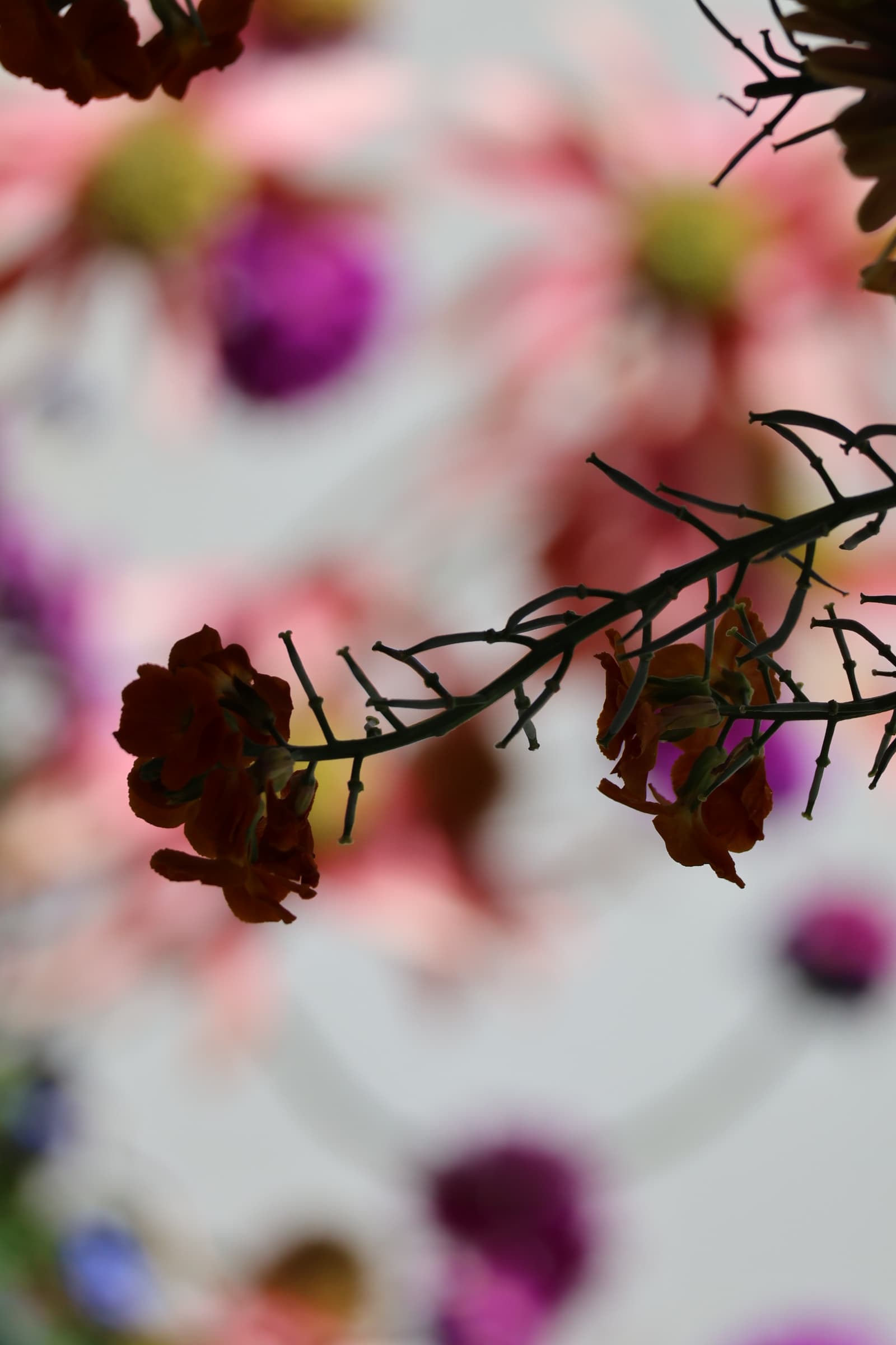 Flower 10