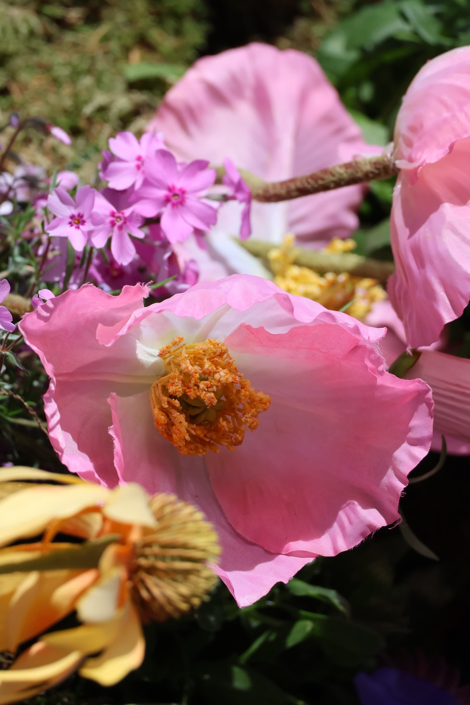 Flower 357