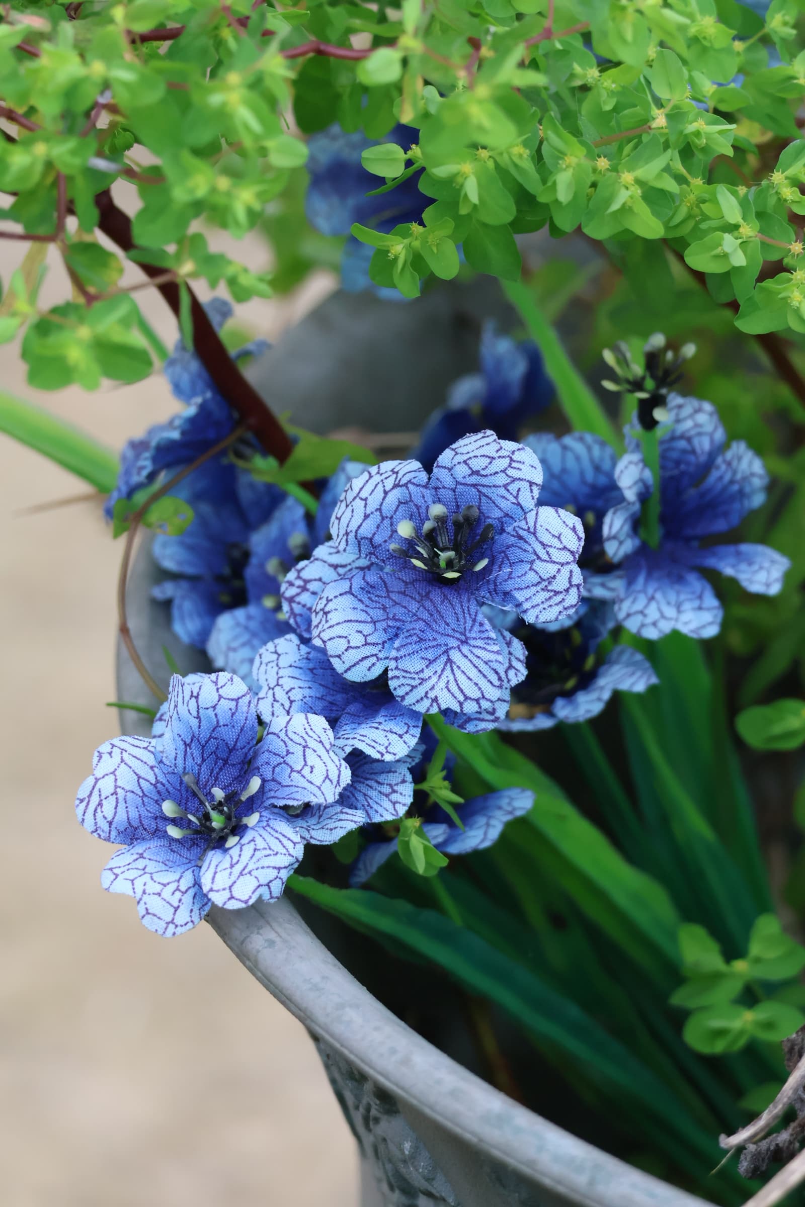 Flower 345