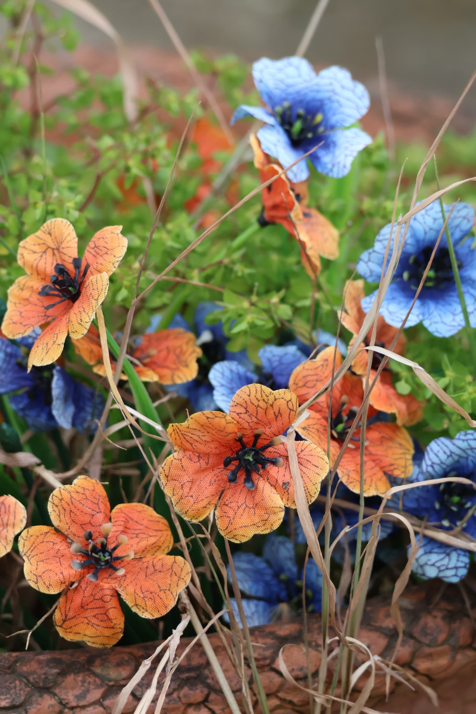 Flower 441