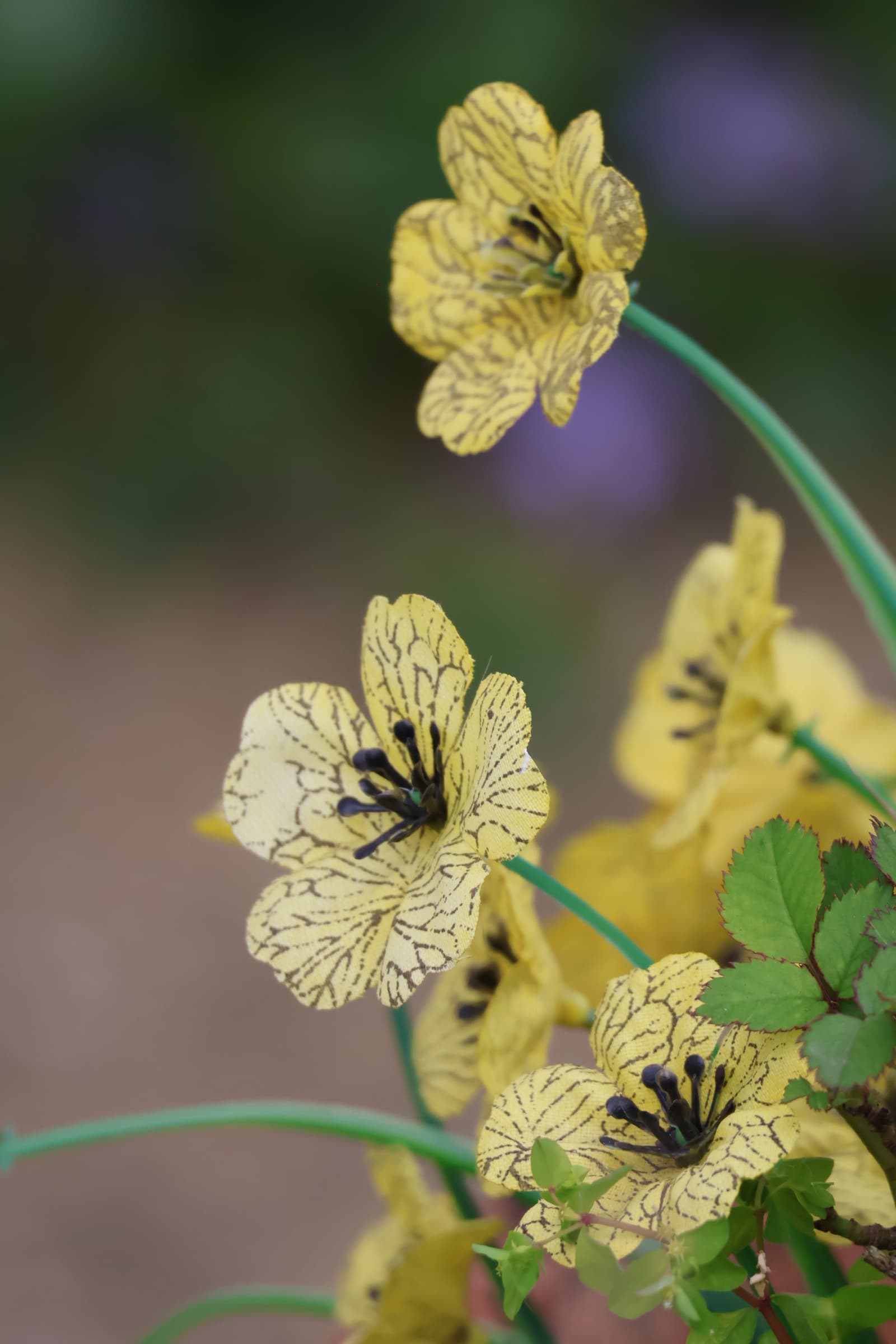 Flower 476
