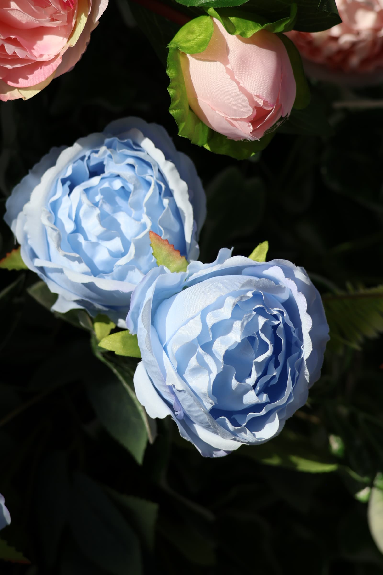 Flower 396