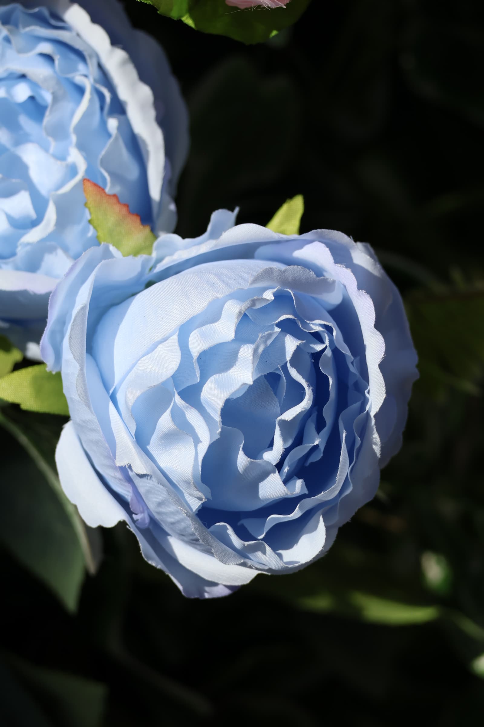 Flower 99