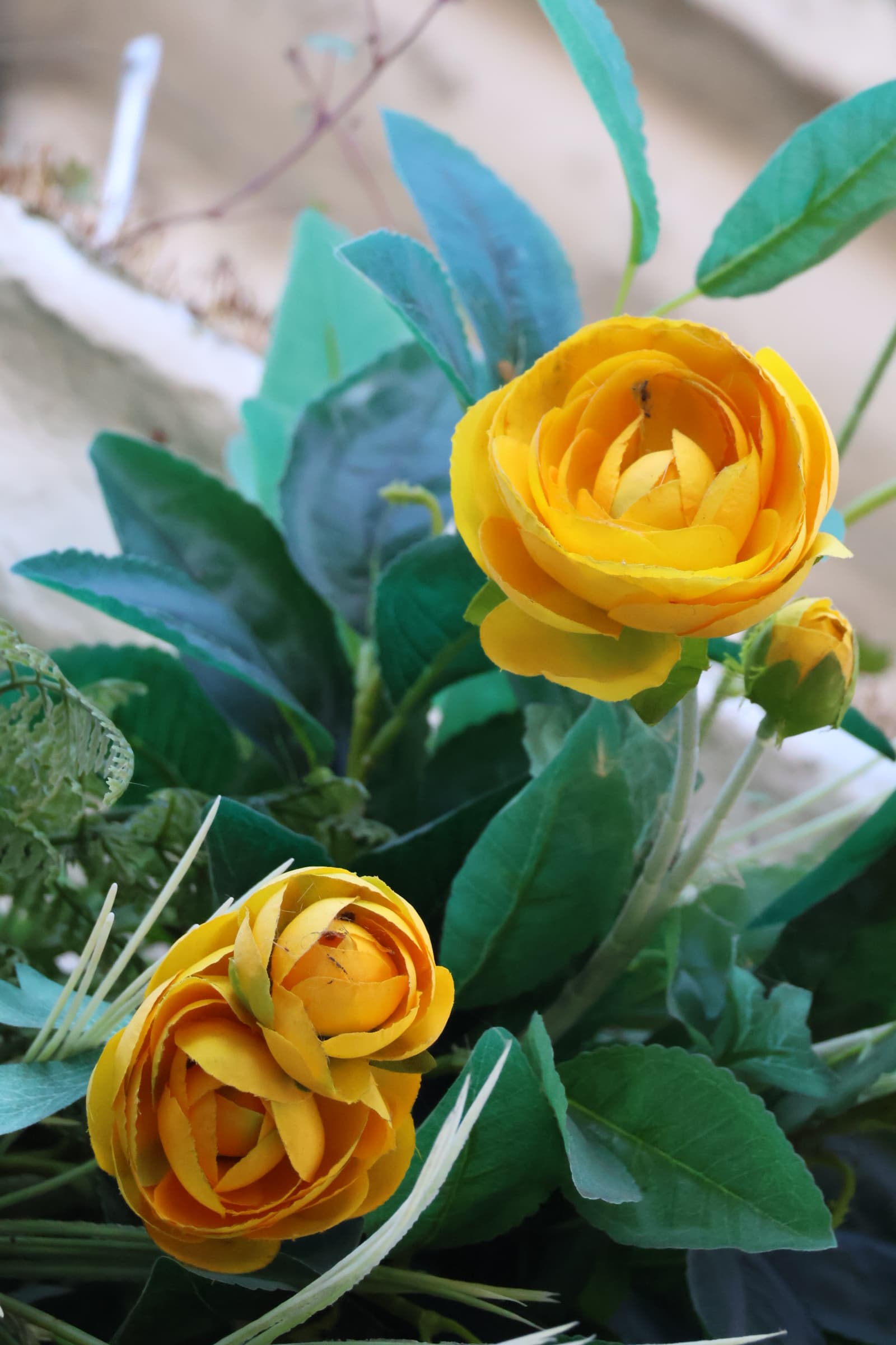 Flower 195