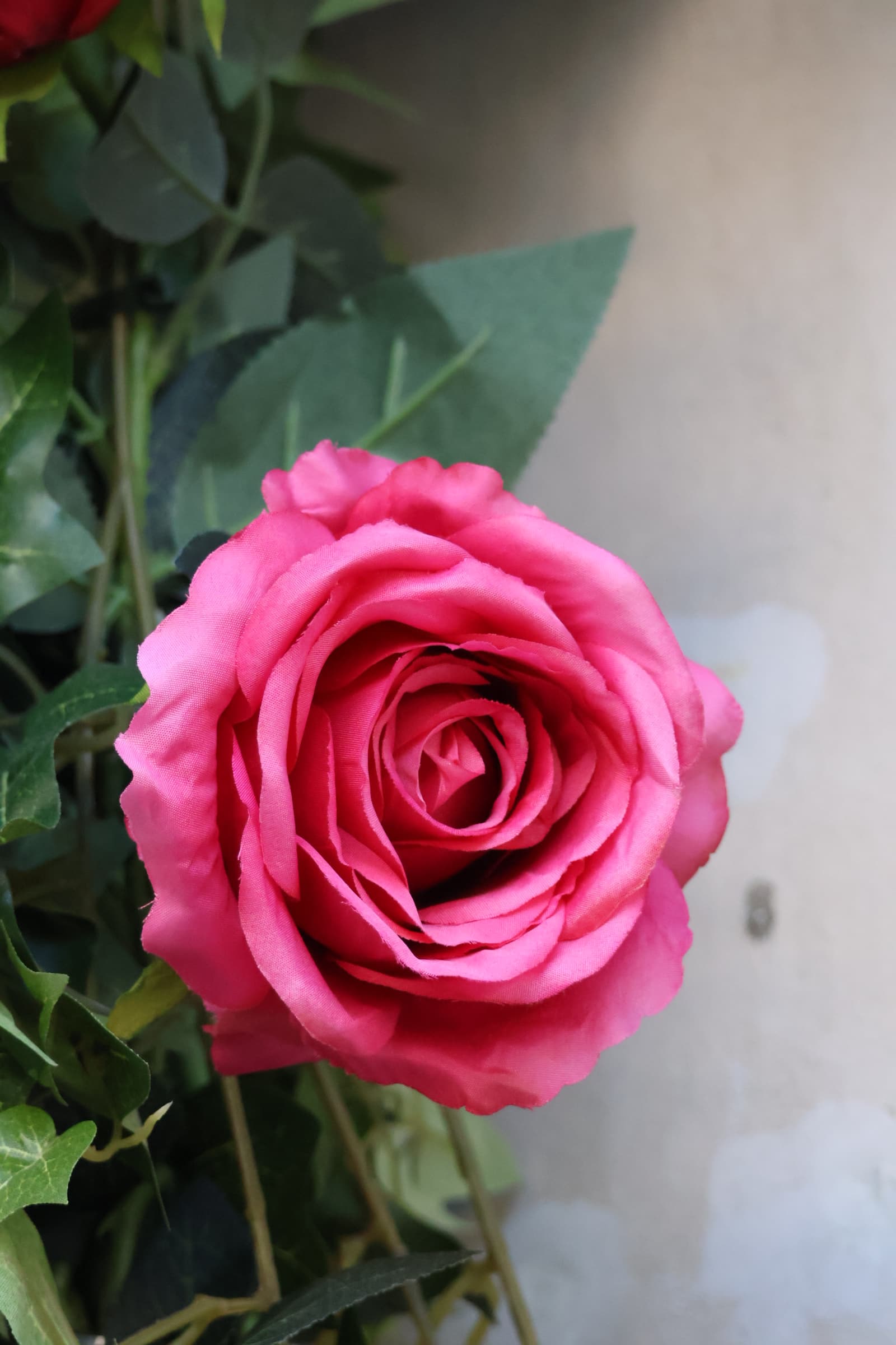 Flower 483