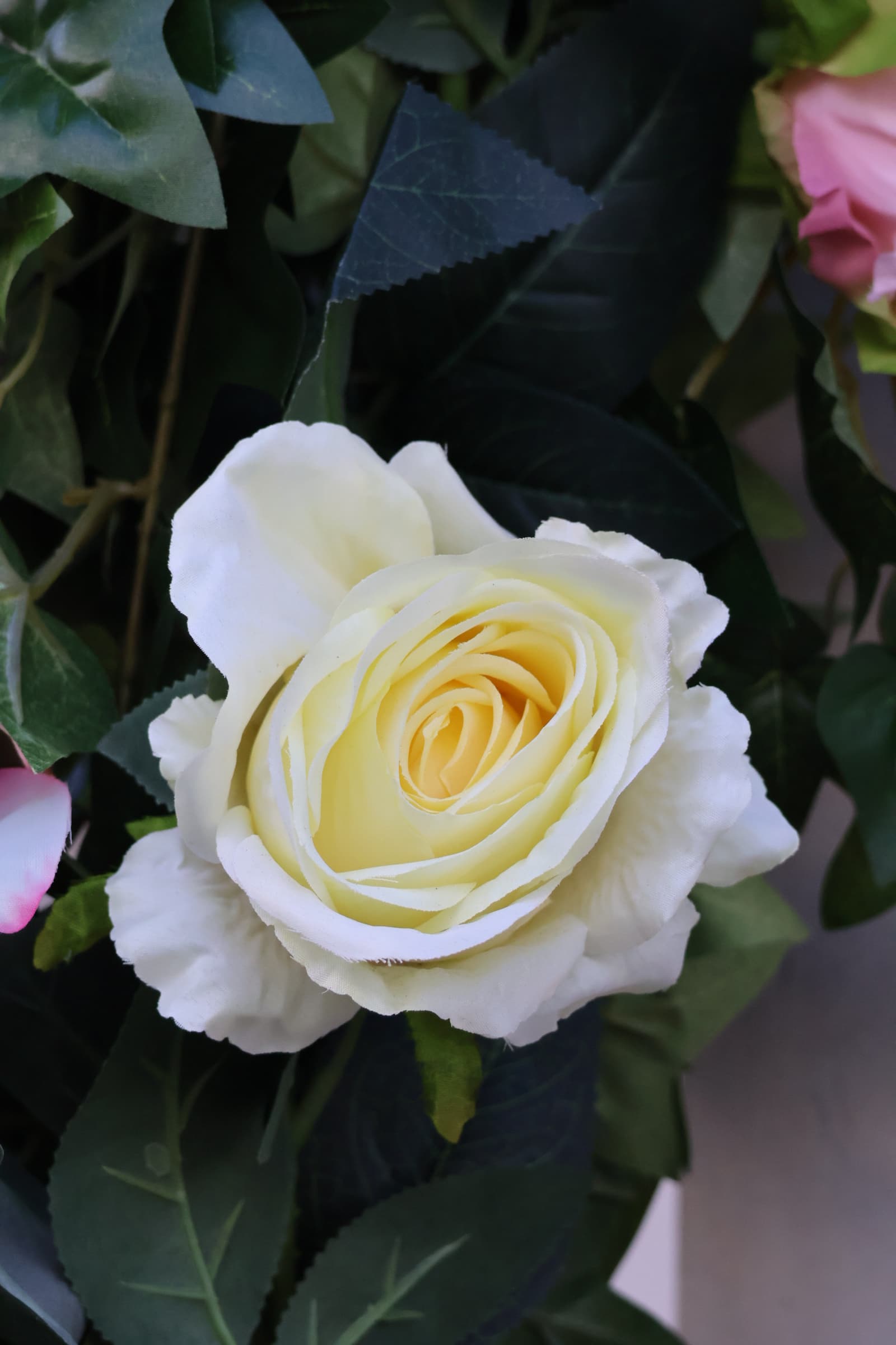 Flower 169