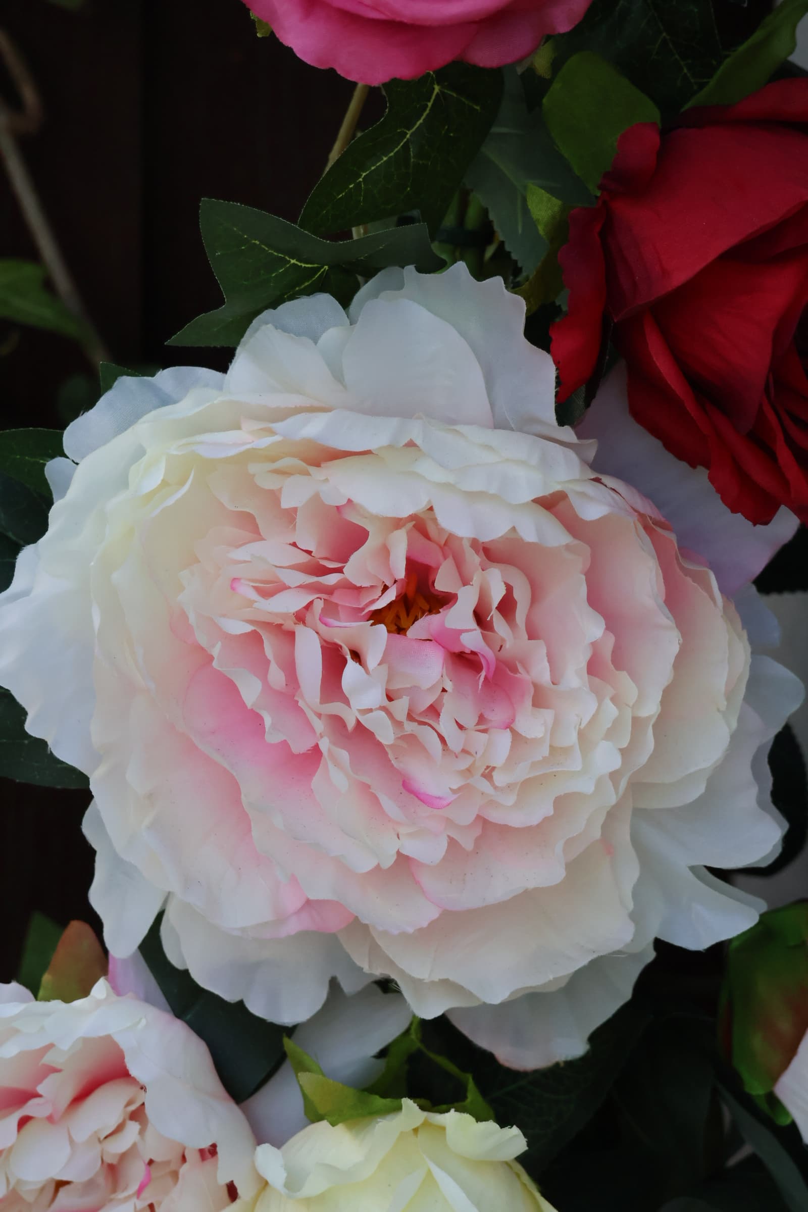 Flower 244