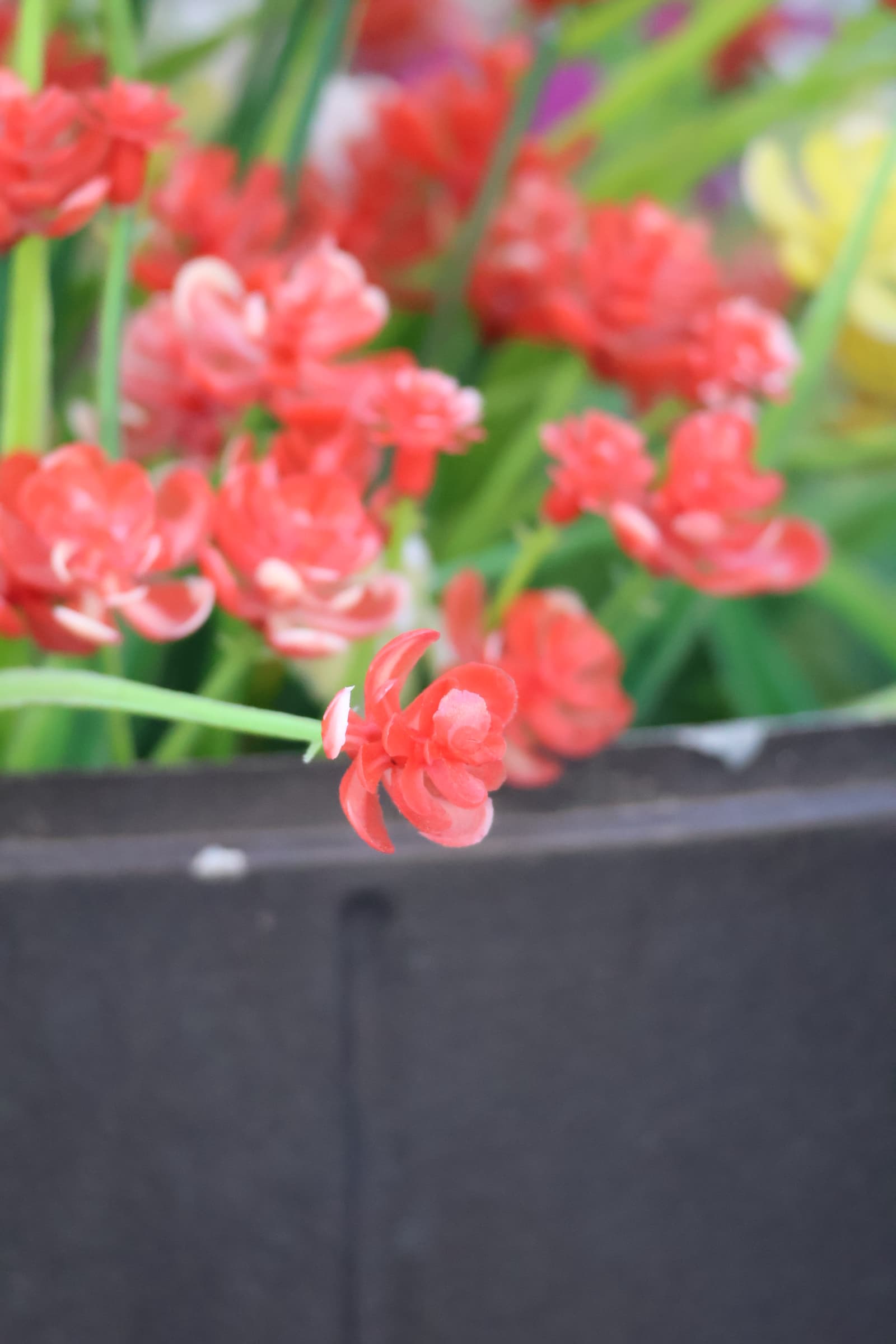 Flower 395
