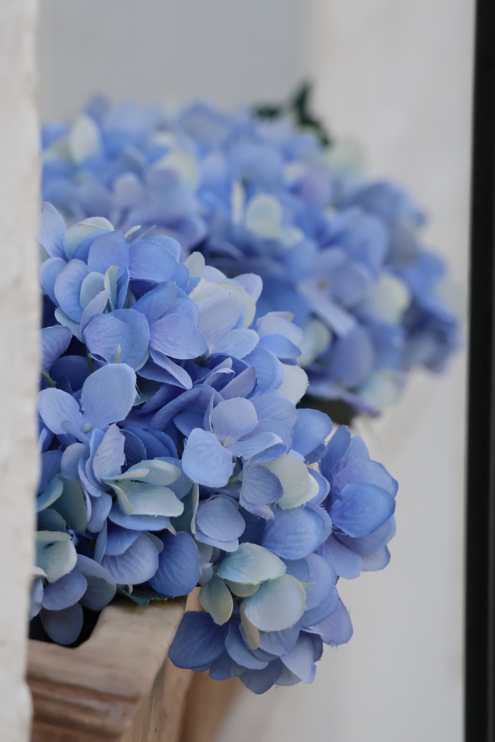 Flower 381