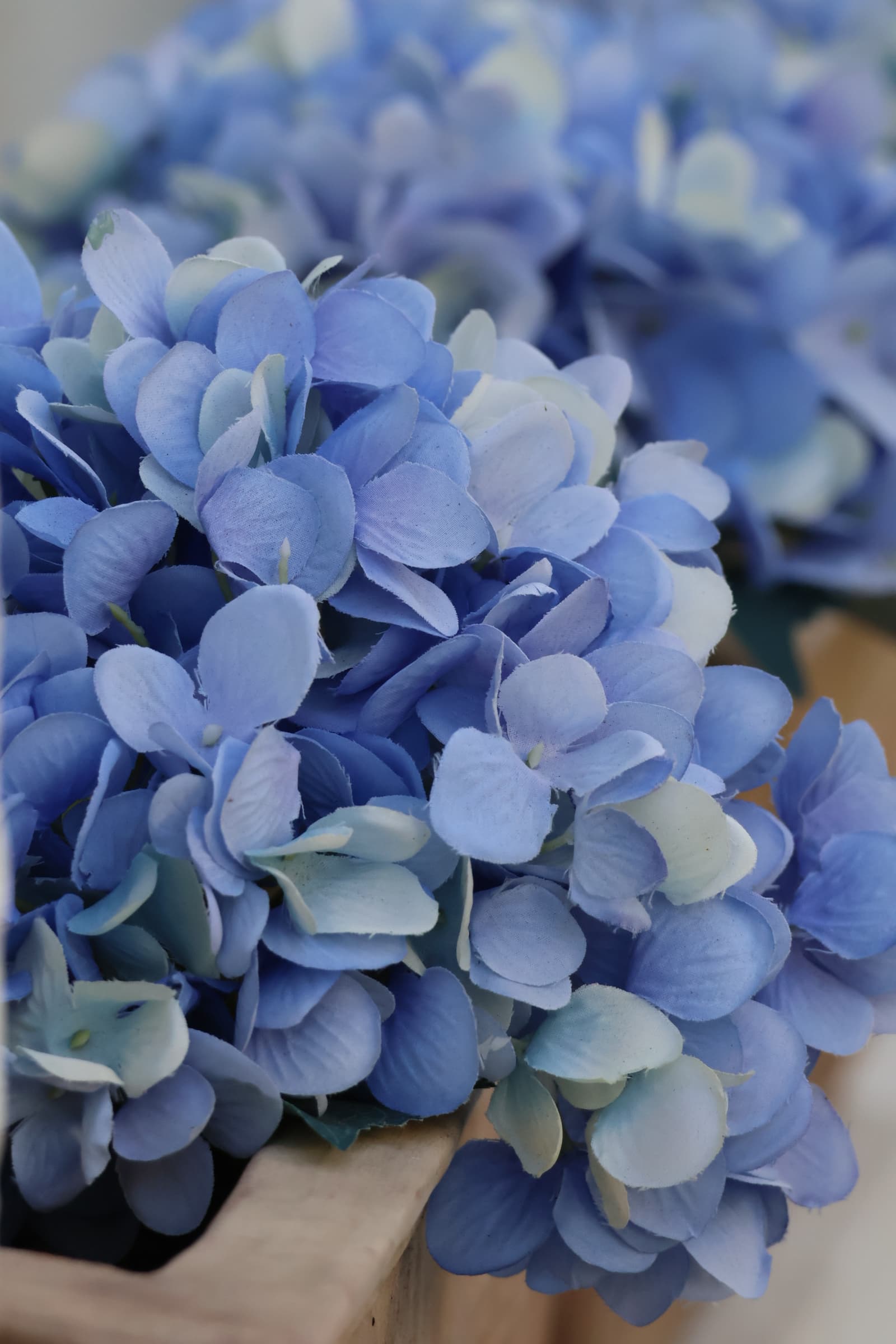 Flower 111