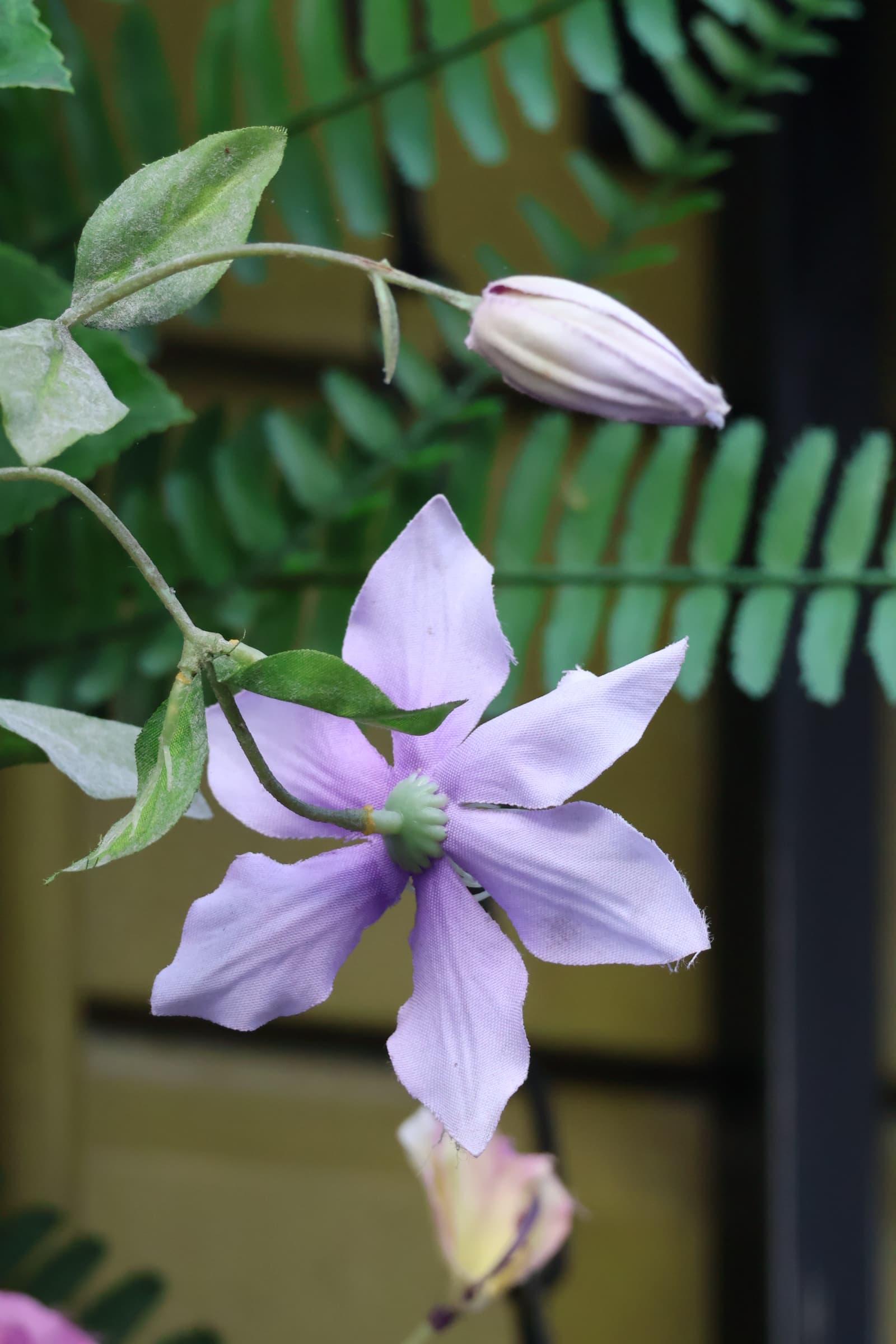 Flower 307