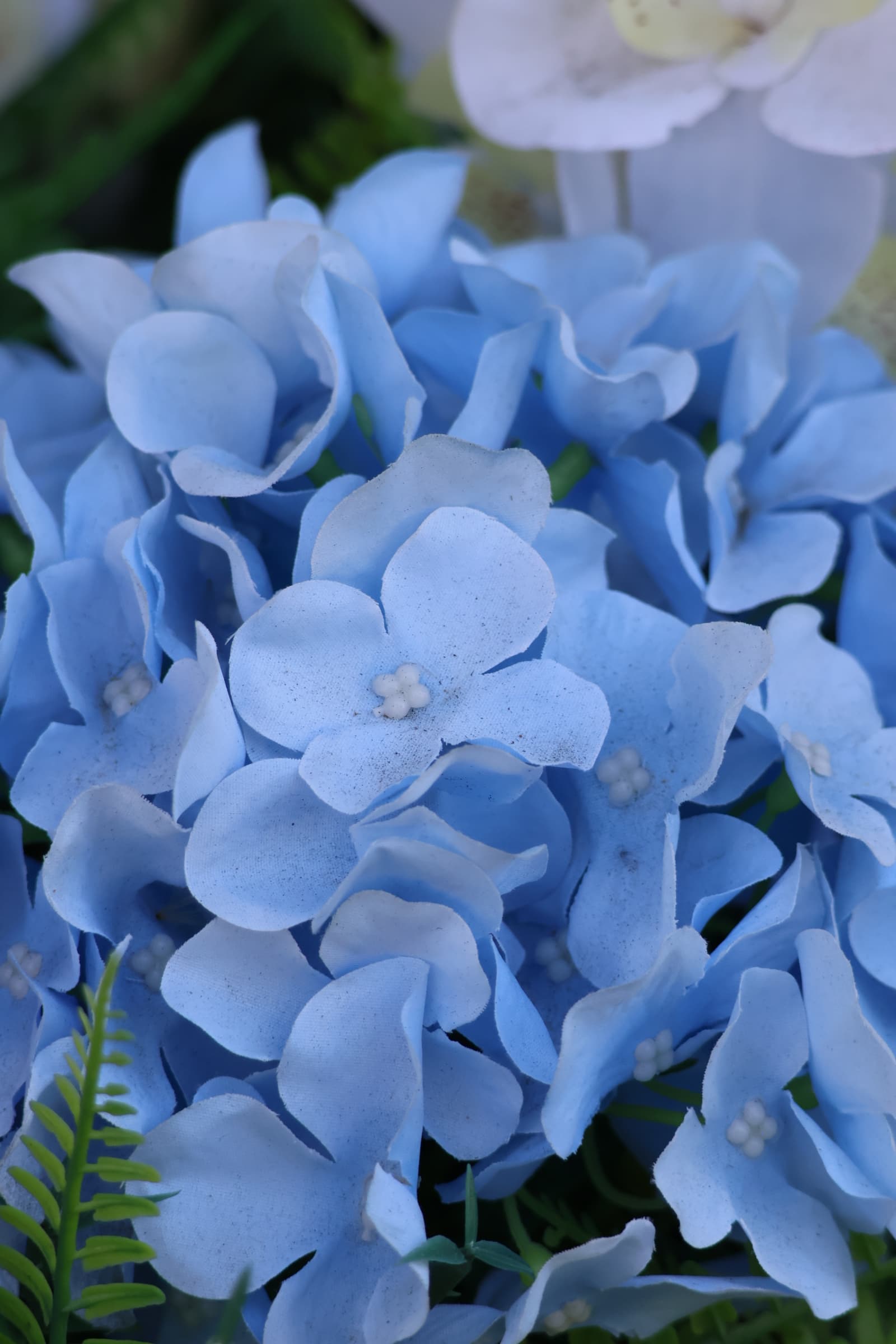 Flower 141