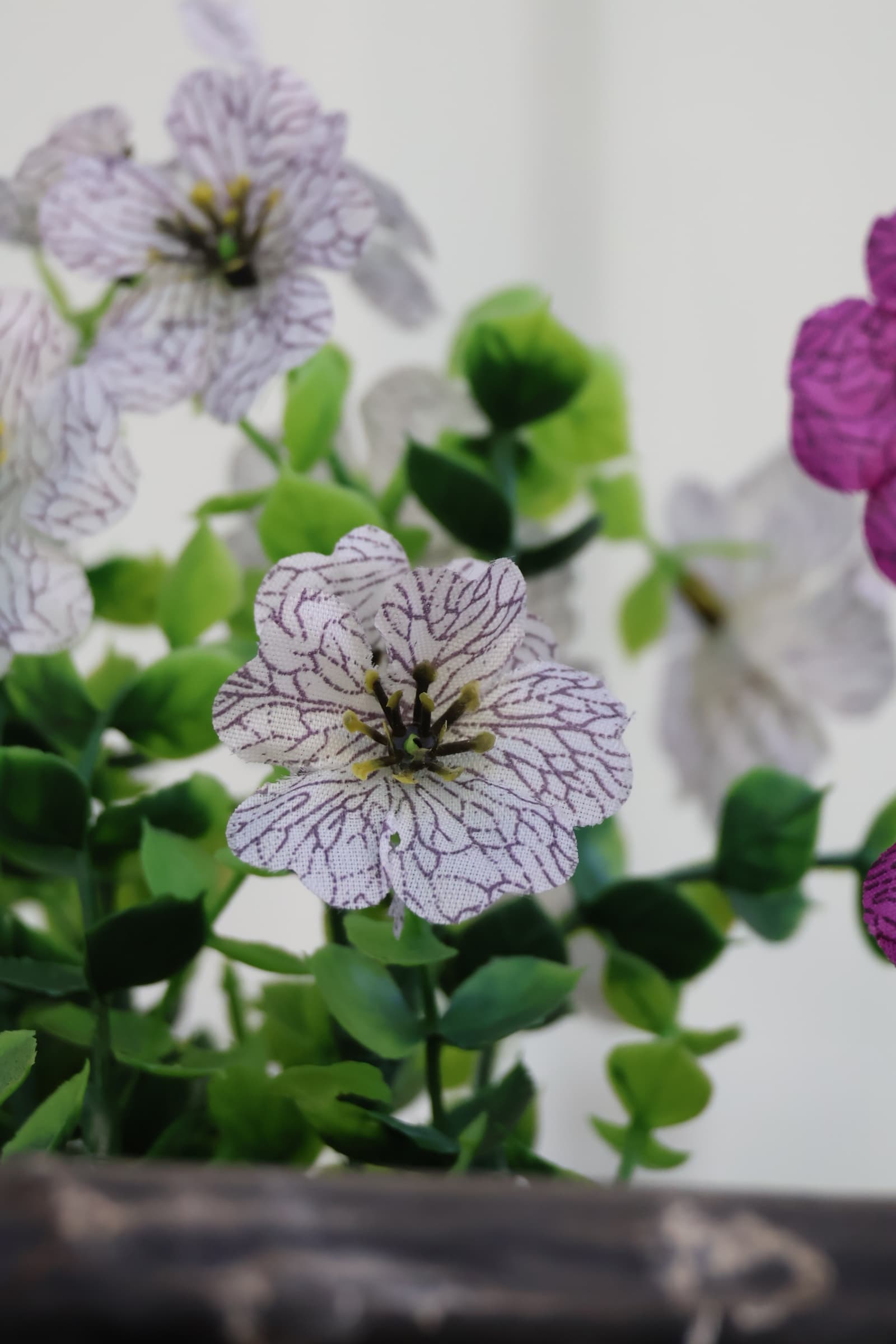 Flower 461