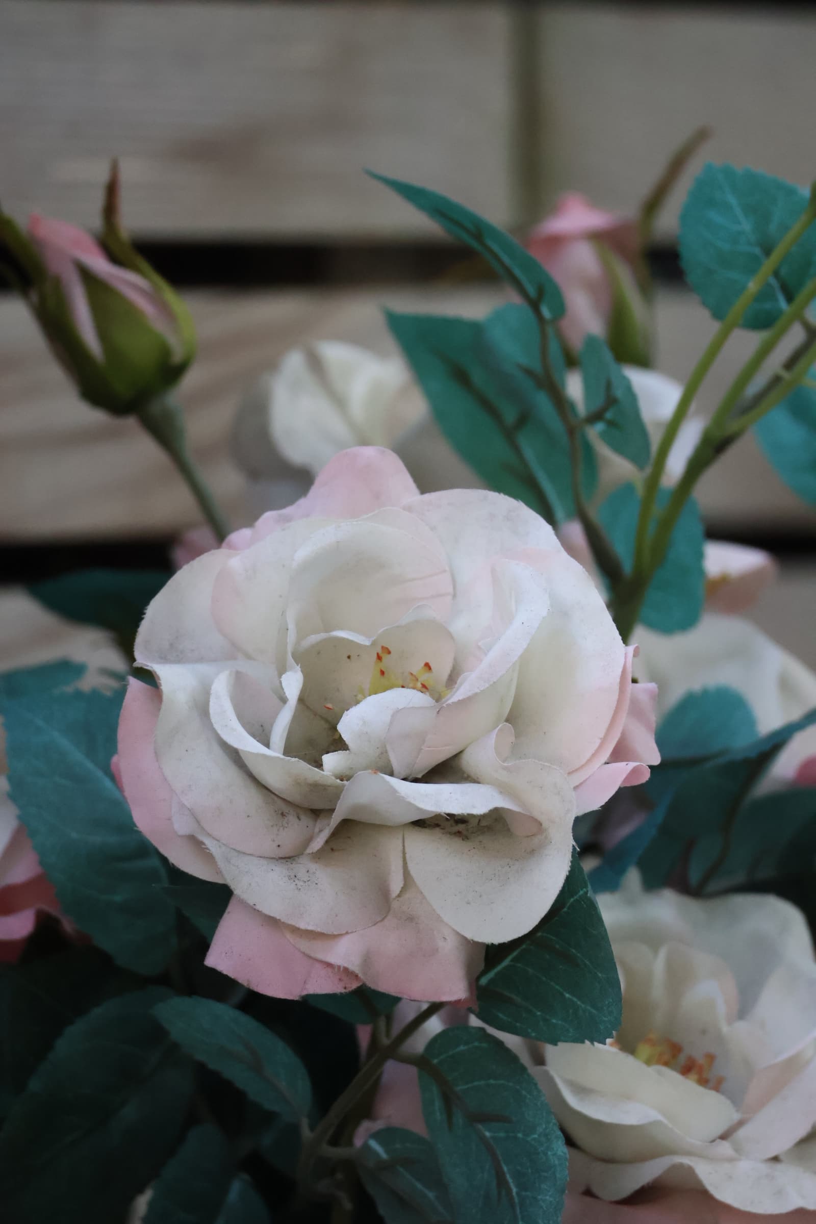Flower 179