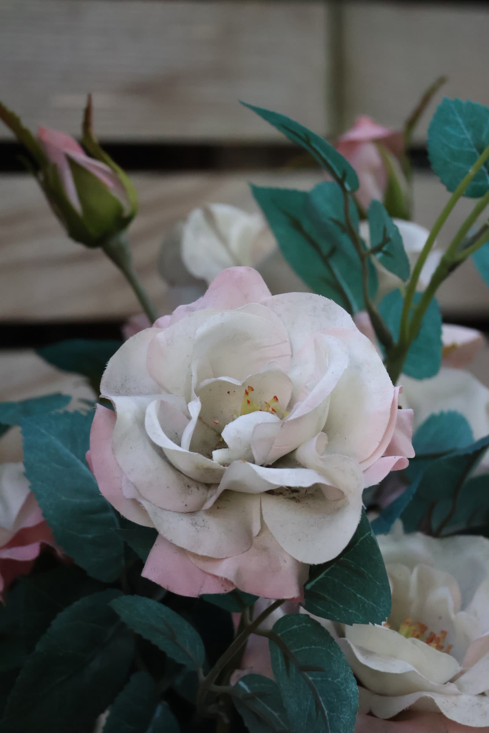 Flower 353