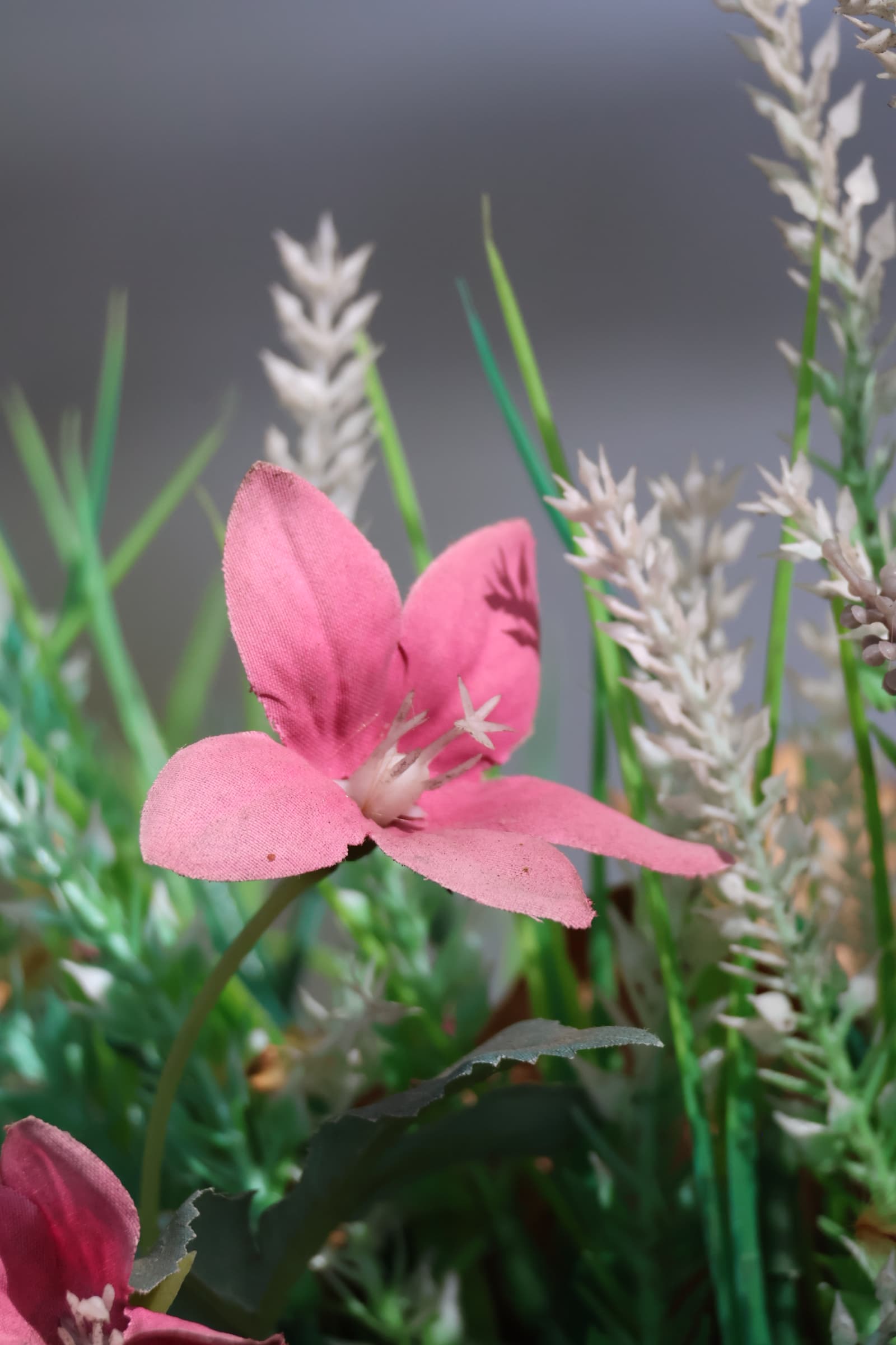 Flower 487