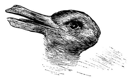 The rabbit-or-duck optical illusion